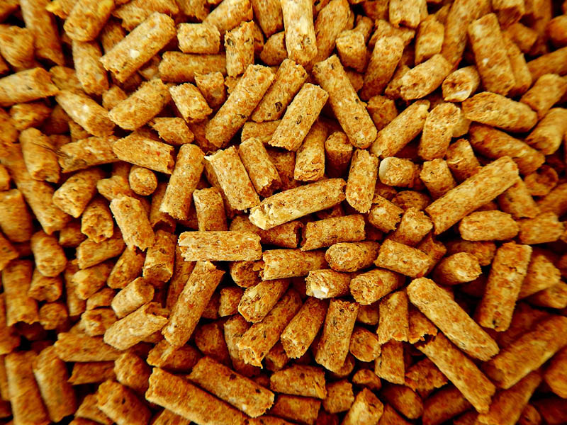 biomassa pellet fuel-1