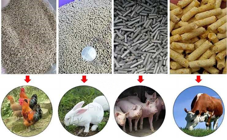 diferentes-partículas-1