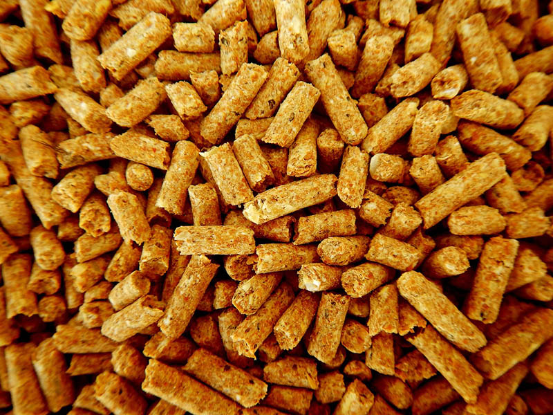 biomass pellet fuel-1
